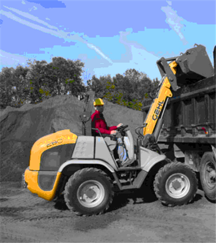 Gehl 280 All Wheel Steer Loader Parts Manual