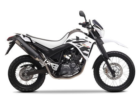 2004 Yamaha XT660R, XT660X, XT660RS, XT660XS Motorcycle Service Repair Manual