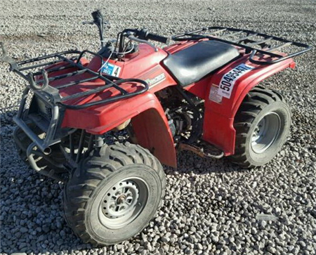 Yamaha YFM250 Bear Tracker 250 (YFM250XL, YFM250XLC, YFM250XN, YFM250XP, YFM250BT)