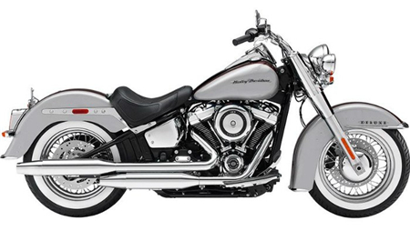 Harley-Davidson Softail Models (FLSTC, FLSTN, FLSTC, FLS, FLSTF, FXST, FLSTFB, FXSB)