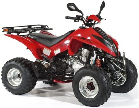 Dinli DL-801 270cc Quad ATV Service Repair Manual