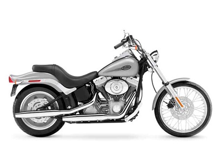Harley-Davidson Softail Models (FLSTC, FLSTF, FLSTS, FXSTC, FXSTS, FXSTSB)