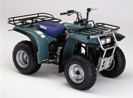 1995 Yamaha YFB250, YFB250G ATV Service Repair Manual